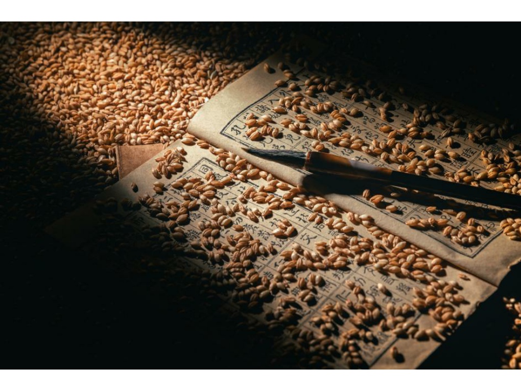 시간을 품은 종자 썸네일